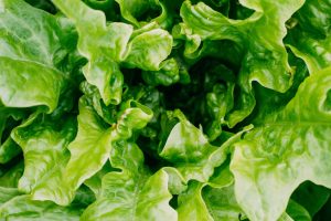 foods that clean your teeth lettuce